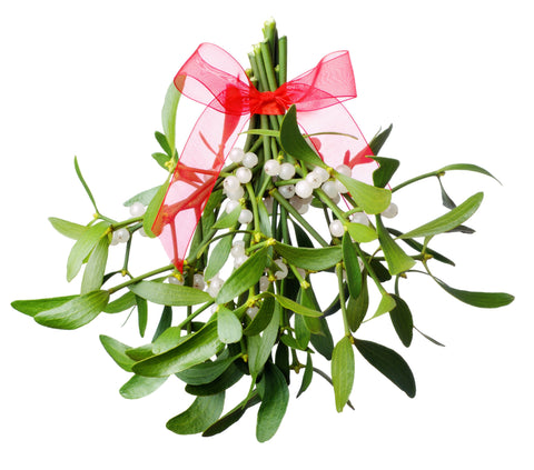 How to Keep Mistletoe Fresh All Christmas Season