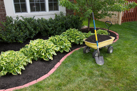Mulching: The Simple Sustainable Gardening Practice That Dramatically Cuts Water Use