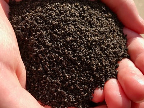 Organic Worm Castings for sales