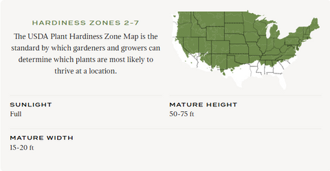 USDA Plant Hardiness Zone Map with text about plant hardiness zones, sunlight, mature height, and width.