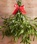 Mistletoe Bouquet for sales